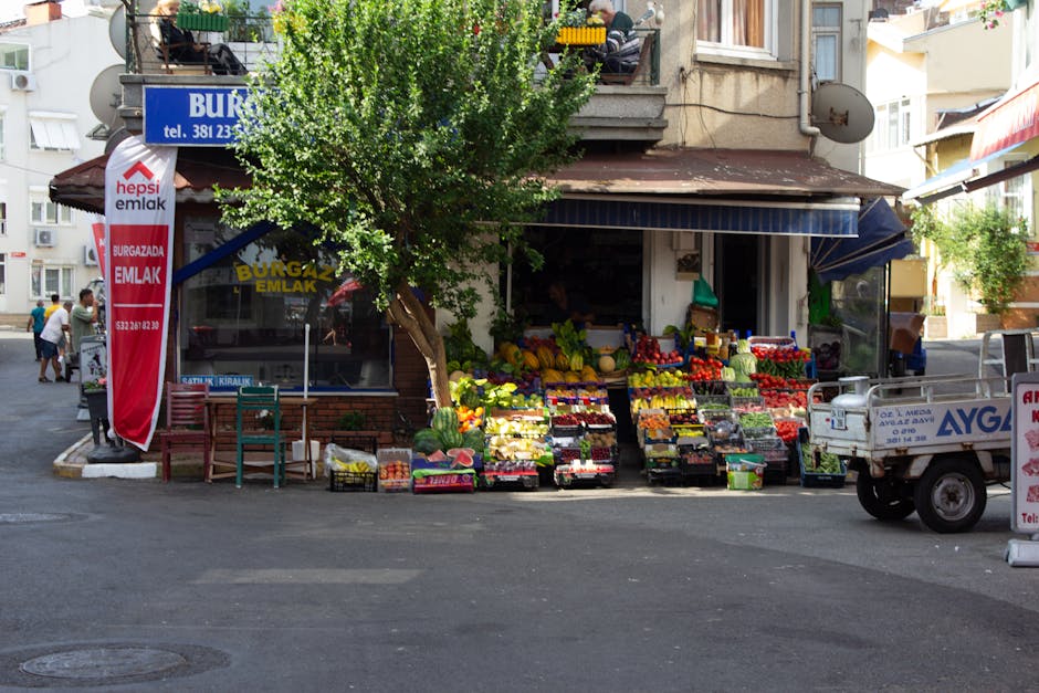 旅遊保險：你不可不知的必備指南