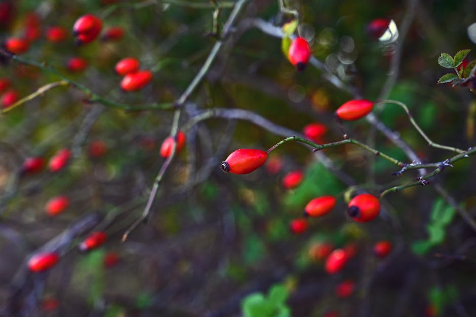 藍十字旅遊保險：我那次難忘的保障經歷