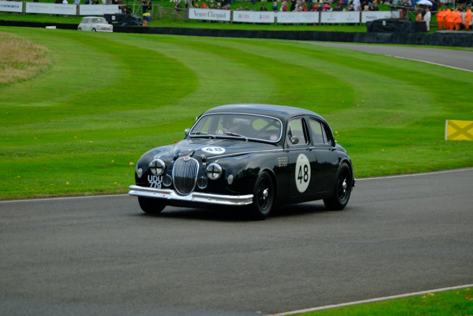 迷你倉的應用與效益分析