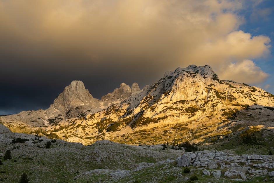 高爾夫球練習場：提升球技的理想場所
